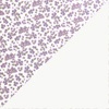 Violeta - interior blanco liso